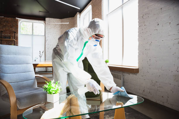 Best Industrial Mold Remediation  in North Aurora, IL